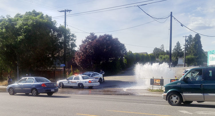 Vehicle plows into hydrant